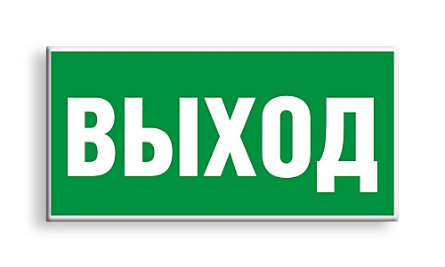 Знак E 22 "Указатель выхода" (200 х 400 мм, пластик)