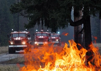 борьба с лесными пожарами